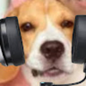 Meet your Posher, Taylortotter